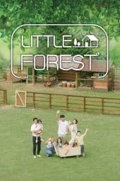 Nonton Little Forest (2019) Subtitle Indonesia